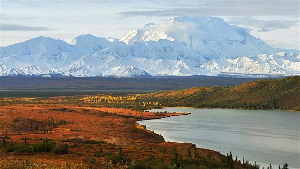 The Untamed Beauty of Denali National Park & Preserve