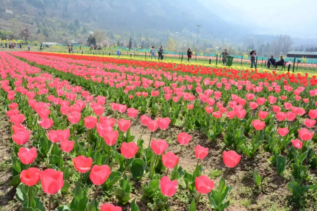 "Las-15-flores-más-hermosas-de-asia-12"