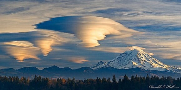 "lenticulares